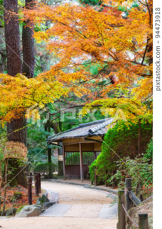 美麗的秋葉長廊 | 垂直位置 94473918