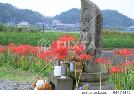 Higanbana of Handa Yagatsu River 94474471