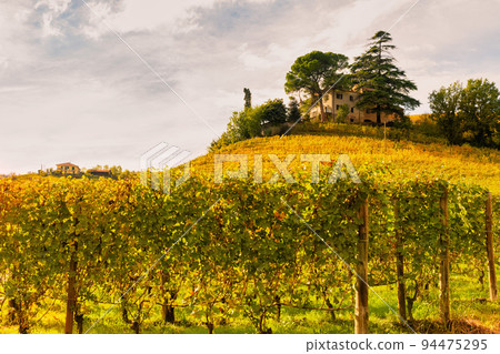 Barolo wine region, Langhe, Piedmont, Italy 94475295