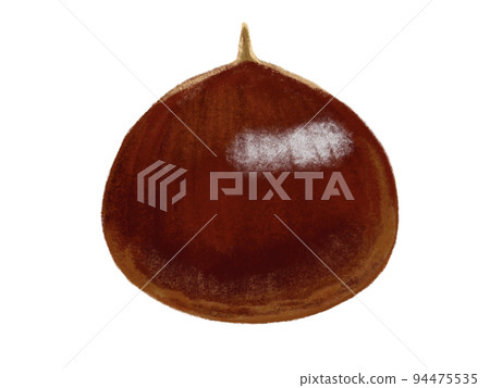 板栗(1個) 板栗(1個) 94475535