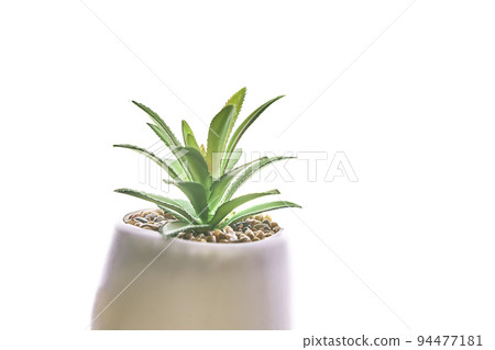 Close-up of a green succulent plant in a modern round planter, highlighted on a white background.A fashionable houseplant with sandstones. High quality photo 94477181