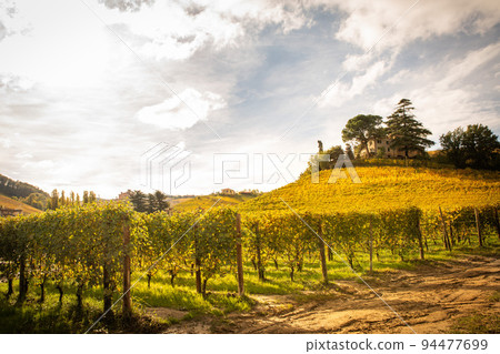 Barolo wine region, Langhe, Piedmont, Italy 94477699