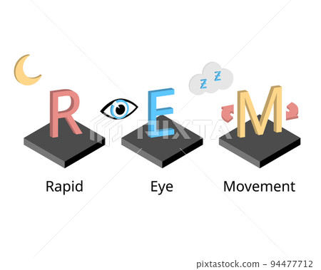 REM or rapid eye movement in sleep circle which is the sleep stage that make you dream REM or rapid eye movement in sleep circle which is the sleep stage that make you dream 94477712