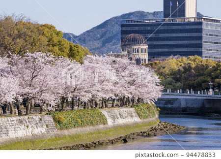 2023年G7峰會和平紀念公園廣島旅遊勝地的櫻花盛開和原爆圓頂的春天景色 2023年G7峰會和平紀念公園廣島旅遊勝地的櫻花盛開和原爆圓頂的春天景色 94478833
