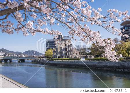 Cherry blossoms in full bloom and the Atomic Bomb Dome Spring scenery at Peace Memorial Park Hiroshima tourist attractions 2023 G7 Summit 94478841