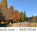 Autumn park 94479546