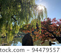 Autumn leaves and weeping willows in a Japanese garden 94479557