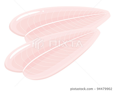 Pangasius _ illustration of white fish _ 2 slices 94479902