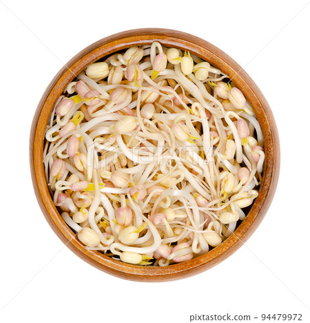 Mung bean sprouts in a wooden bowl. Vegetable, grown by sprouting mung beans, Vigna radiata, also known as green gram, maash, monggo or munggo. Isolated, from above, on white background, food photo. Mung bean sprouts in a wooden bowl. Vegetable, grown by sprouting mung beans, Vigna radiata, also known as green gram, maash, monggo or munggo. Isolated, from above, on white background, food photo. 94479972