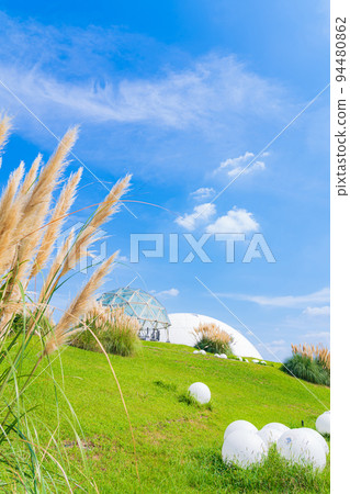 愛知世博紀念公園，盛開的蒲葦<愛知縣長手市> 94480862