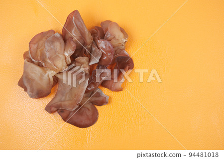 black fungus on orange background with copy space  94481018