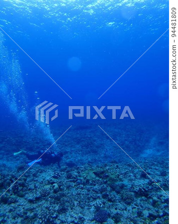 Diving in the Okinawan sea Diving in the Okinawan sea 94481809