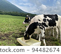 Tottori Prefecture Daisen Beef Milk Milk no Sato Milk 94482674