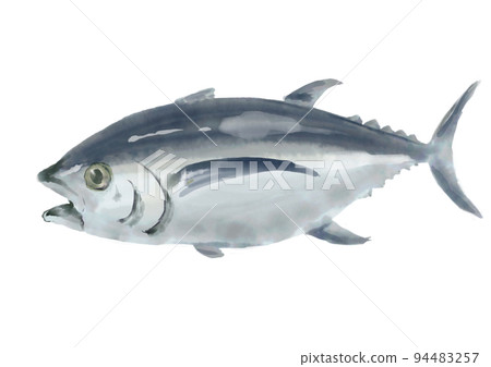 hand drawn tuna 01 hand drawn tuna 01 94483257