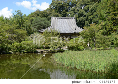 奈良縣天理市長樂寺庭園和正殿 奈良縣天理市長樂寺庭園和正殿 94485371