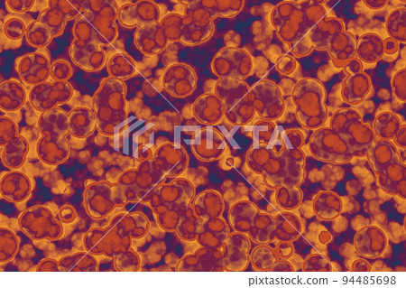 Shape of bacterial cell 94485698