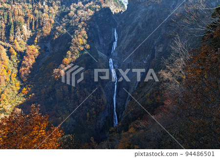 Toyama / Autumn leaves of Shomyo Falls seen from Hachirozaka Toyama / Autumn leaves of Shomyo Falls seen from Hachirozaka 94486501