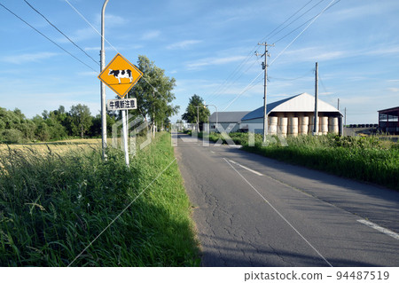 Cow traversing cow Cow traversing cow 94487519