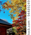 Red and yellow autumn leaves and temple 94489249