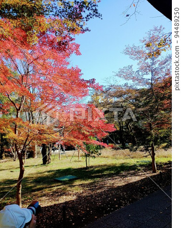 Sunny autumn sky and autumn leaves 94489250