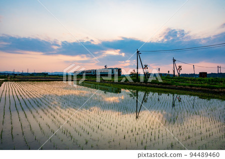 新潟萬越西線木葉110 新潟萬越西線木葉110 94489460