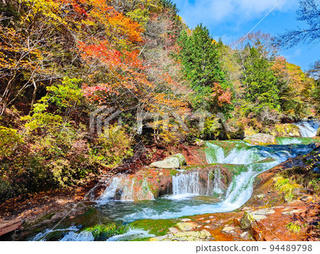 Yokoya Valley (Autumn): Mandarin Duck Hidden Waterfall Yokoya Valley (Autumn): Mandarin Duck Hidden Waterfall 94489798