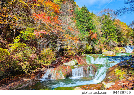 Yokoya Valley (Autumn): Mandarin Duck Hidden Waterfall 94489799