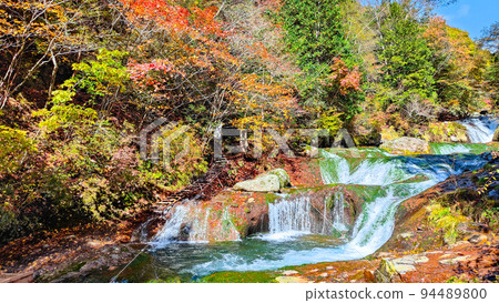 Yokoya Valley (Autumn): Mandarin Duck Hidden Waterfall Yokoya Valley (Autumn): Mandarin Duck Hidden Waterfall 94489800