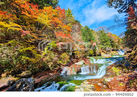 Yokoya Valley (Autumn): Mandarin Duck Hidden Waterfall Yokoya Valley (Autumn): Mandarin Duck Hidden Waterfall 94489802
