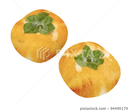 Hand drawn persimmon decoration. watercolor illustration Hand drawn persimmon decoration. watercolor illustration 94490179