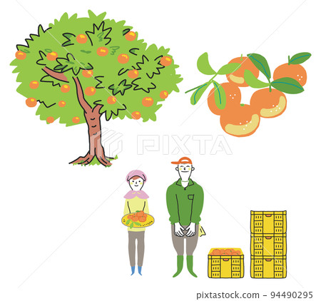 Mandarin orange farmer and harvested mandarin orange set illustration material 94490295