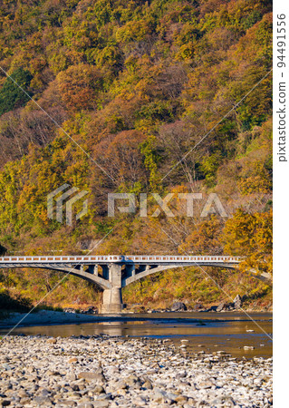 Autumn in Nasukarasuyama, Tochigi Arashiyama in Kanto Falling rocks with autumn leaves Sakaibashi 94491556