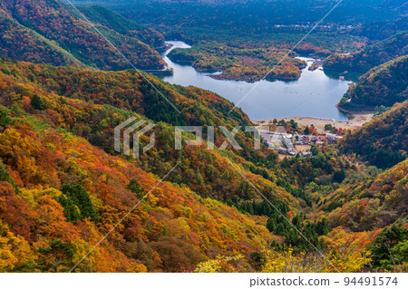 (Yamanashi Prefecture) Lake Shoji looking down from Shoji Pass dyed in autumn leaves 94491574