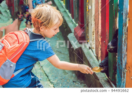 The boy feeds goats in the zoo 94491662