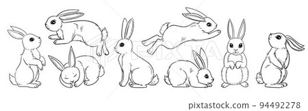 Various cute bunnies, spring, easter bunny in sketch style. Rabbit sits, sleeps and jumps vector illustration isolated on white. Doodle style, hand drawing, graphic. 94492278