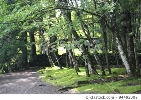 遺憾在邊緣 94492392