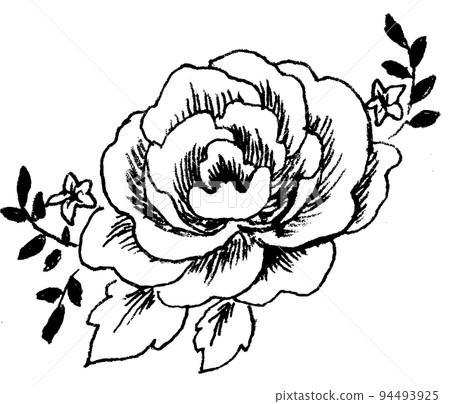 Peony 94493925