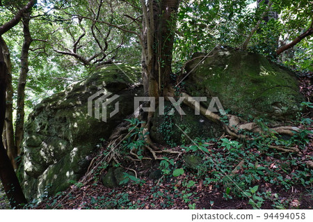 表情岩石 表情岩石 94494058