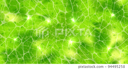 Plant cells with nuclears texture under a microscope or abstract green seamless pattern Plant cells with nuclears texture under a microscope or abstract green seamless pattern 94495258