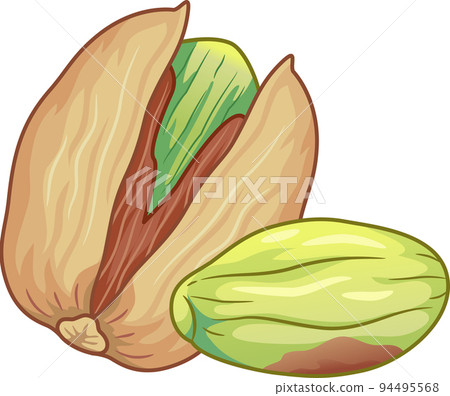 Pistachio Nuts Illustration Pistachio Nuts Illustration 94495568
