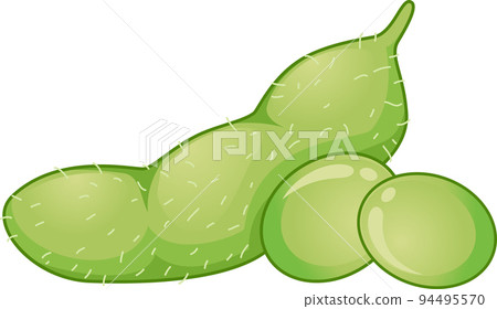 Soy Beans Illustration 94495570