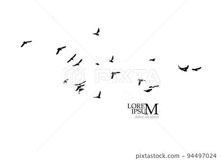 A flock of flying birds. Free birds. Vector illustration A flock of flying birds. Free birds. Vector illustration 94497024