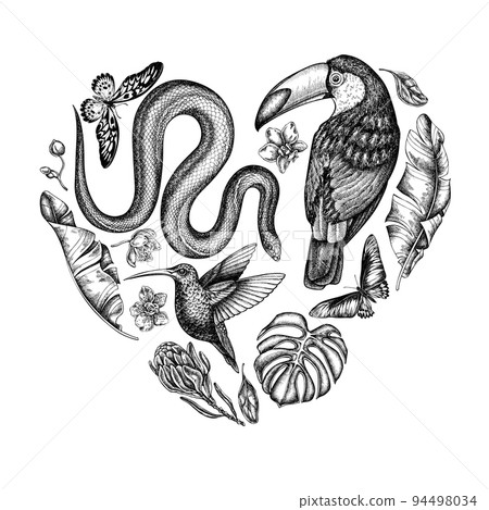 Tropical animals heart vintage design. Hand drawn snake, hummingbird, toucan, african giant swallowtail, monstera, banana palm leaves, protea, phalaenopsis. 94498034