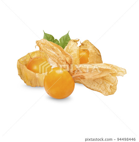 Cape gooseberry, physalis with leaves isolated on white background Cape gooseberry, physalis with leaves isolated on white background 94498446