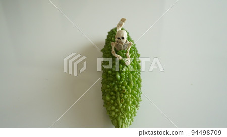 bitter gourd and skeleton 94498709