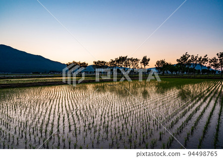 新潟夏井之葉 94498765