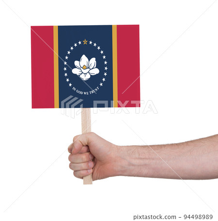 Hand holding banner on wood stick, isolated 94498989