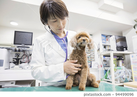 女獸醫在獸醫診所檢查小狗 女獸醫在獸醫診所檢查小狗 94499096