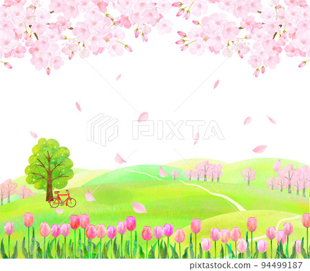 風景與紅色自行車春天櫻花和可愛的鬱金香落花瓣白色背框背景材料 風景與紅色自行車春天櫻花和可愛的鬱金香落花瓣白色背框背景材料 94499187