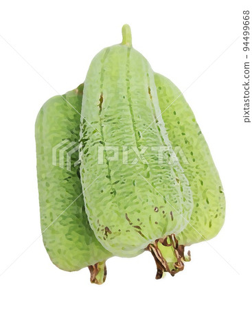 絲瓜 菜瓜 蔬菜 食材 天然 植物 三條 A05 94499668